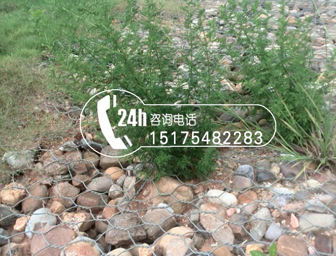 生態(tài)格網(wǎng)植被防護