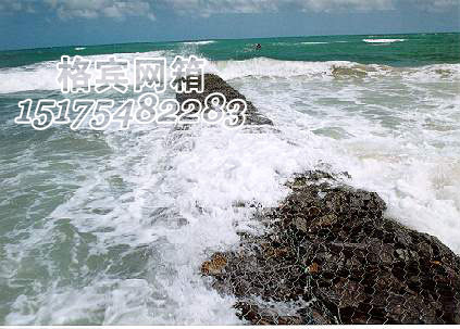 雙絞格賓網(wǎng)