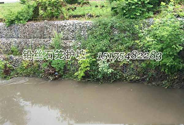 鍍高爾凡格賓網(wǎng)